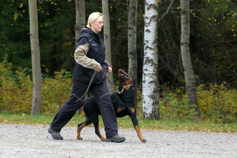 PK kurssi (13).jpg